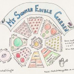 Rachel-Knight-Plan-your-edible-summer-garden