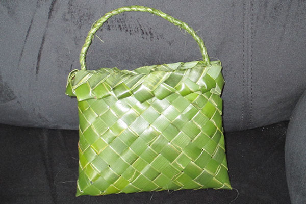 Tracy-Hurst-Porter-Fun-with-Flax-Making-a-Simple-Kete